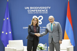 Pashinyan and the European Commission vice-president discussed issues related to the progress of Armenia–EU Cooperation