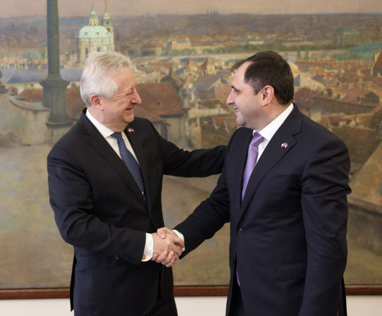 Suren Papikyan and the Czech Defence Minister discussed Armenia–Czech Republic cooperation in the defence sector