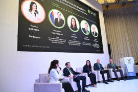 В рамках COP17 представлен опыт Армении по цифровизации экологического контроля — Инспекционный орган по охране природы и недрам