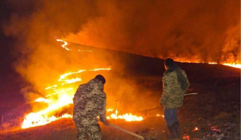 Այրվում են Դիլիջան ազգային պարկի անտառները, կրակը ուժգնորեն տարածվում է․ Գառնիկ Դանիելյան