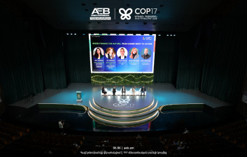 The Vision for Green Finance: Focus of Armeconombank's Panel Discussion at COP17 (photo)