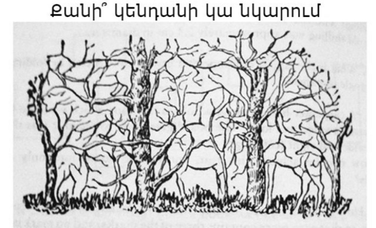 Թեստ․ քչերին է հաջողվում գտնել բոլոր կենդանիներին և հաղթել մյուսներին