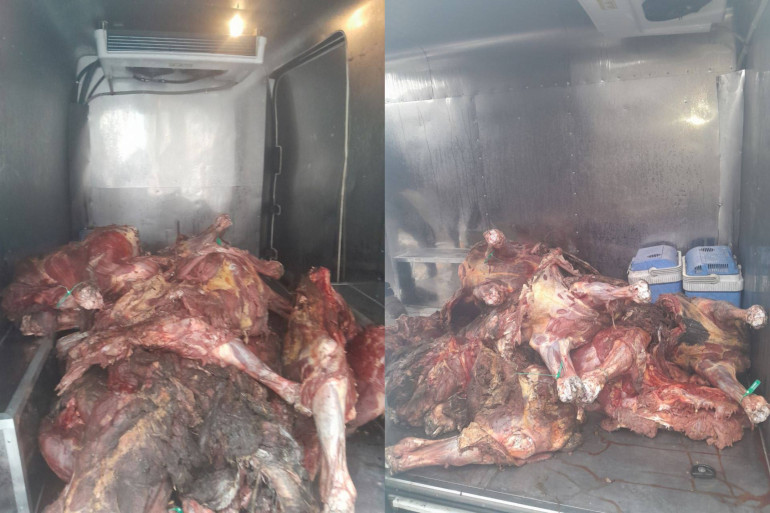 Կանխվել է ձիու մսի վաճառքը. ՍԱՏՄ