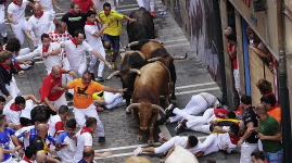 Almost 60 people gored or bruised during Spain's famed San Fermín bull runs