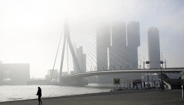 Two trams collide on Rotterdam's Erasmus Bridge, injuring 15 Two trams collide on Rotterdam's Erasmus Bridge, injuring 15
