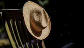 Germany's heat death toll nears 10,000 Germany's heat death toll nears 10,000
