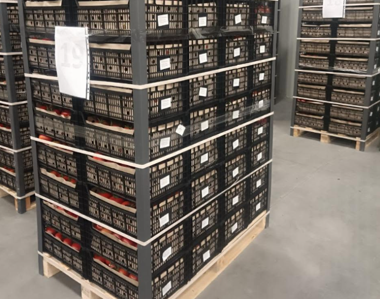 Negotiations on the sale of Armenian fish products in the Georgian market successfully concluded: Embassy of Armenia in Georgia