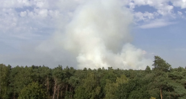 Forest fire spreads in southern Netherlands nature reserve, authorities say Forest fire spreads in southern Netherlands nature reserve, authorities say