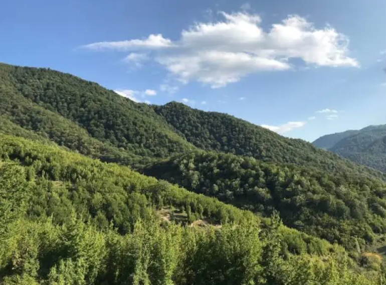 Աղվերանի անտառում հայտնաբերվել է ՌԴ 22-ամյա քաղաքացու մարմինը
