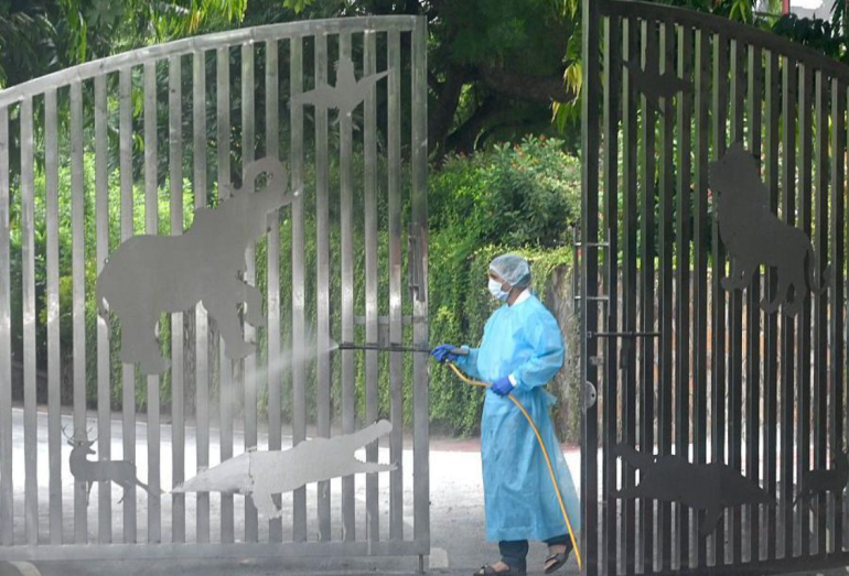 Indian scientists predict how bird flu could spread to humans