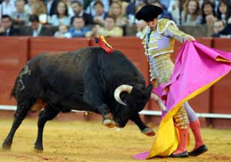 Ban on Bullfighting Sparks Debate in Different Regions of Spain