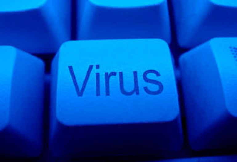 Web Hit by Hi-tech Crime Wave 