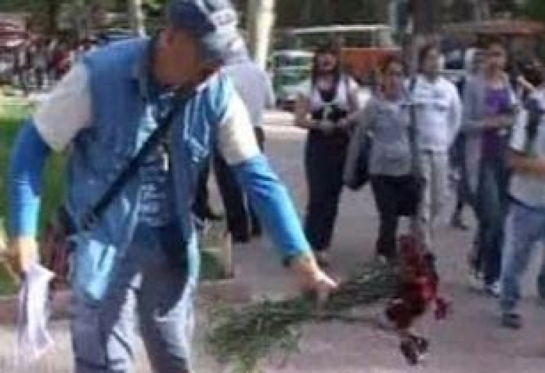 Турецкий писатель публично извинился перед армянами