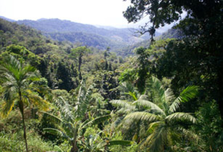 World's 2010 Nature Target 'Will Not Be Met'