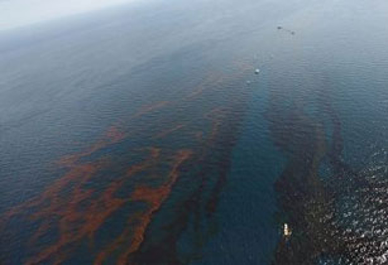 BP взяла на себя всю ответственность за экологическую катастрофу в США