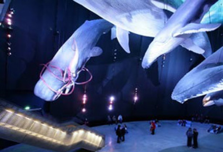 «Ozeaneum» назван лучшим европейским музеем
