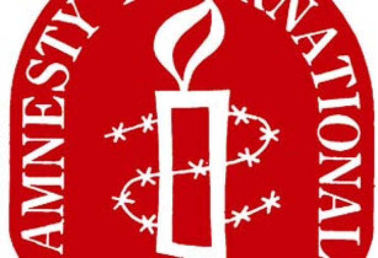 Progressive Party of Armenia Files a $1m USD Complaint against Amnesty International