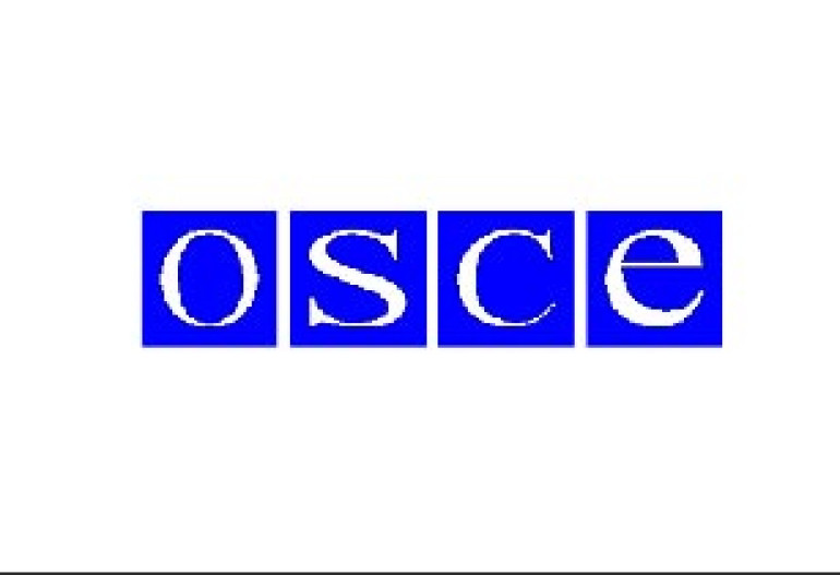 OSCE Registered Violations in Georgia’s Municipal Elections