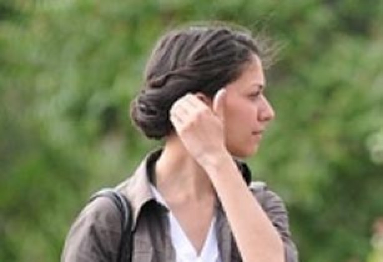 Ani Gevorgyan Released: Davit Kiramijyan Will Be Arrested