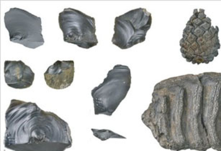 Humans' early arrival in Britain