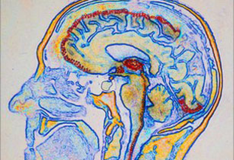 Neurons to inspire future computers