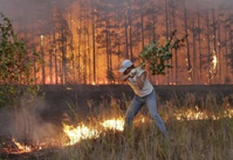 Javakhk woods in the flames: Firefighters cannot put it off 