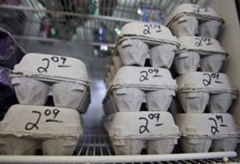 Более 550 млн куриных яиц отзывают в США из-за угрозы сальмонеллы