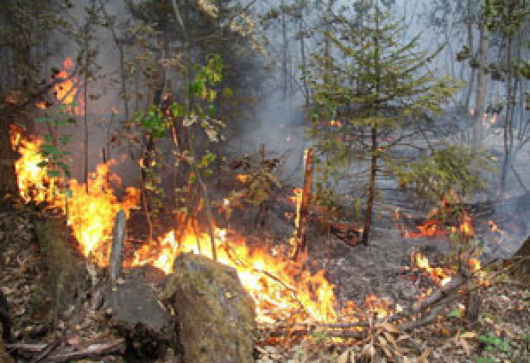 Armenia helped Russia to douse fires but failed to help Armenians in Javakhq 