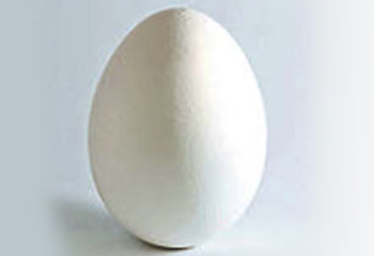 Archeologists find 1200-year-old egg