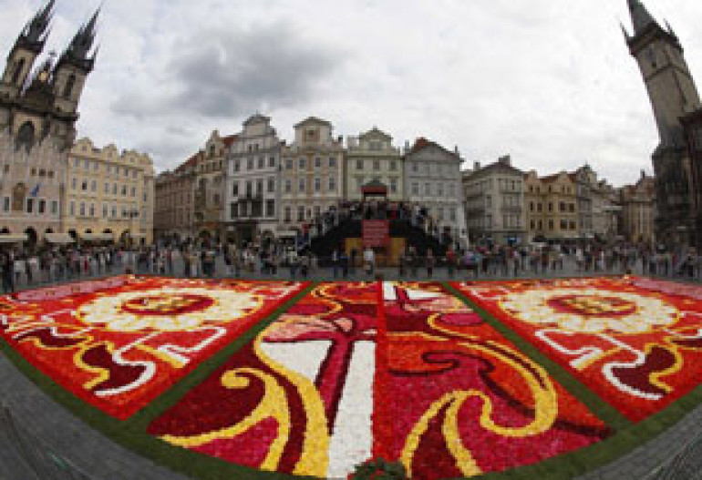 Цветочный ковер на полтысячи квадратных метров