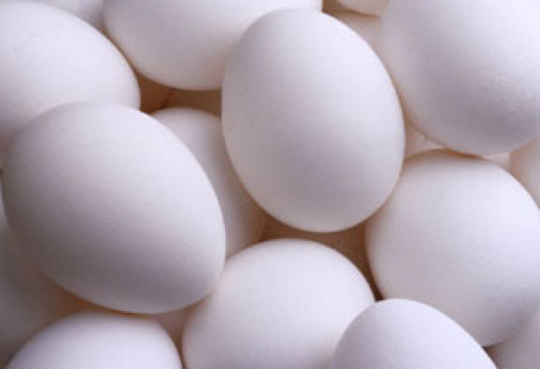Lusakert Pedigree Poultry Plant to raise egg prices 