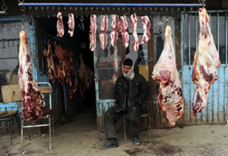 Сокращение потребления мяса поможет сохранить 45 тысяч жизней в год 