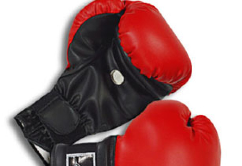 Armenian boxer Hamlet Petrosyan to compete for European Champion 's title 