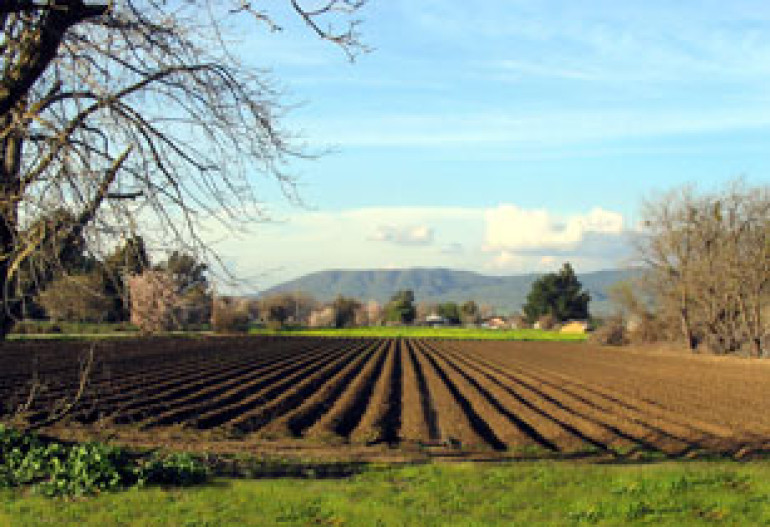 Who is to blame for downfall in Armenia's agriculture? 