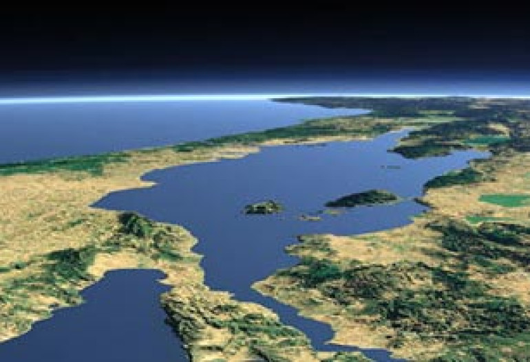 В новой версии Google Earth появились 3D-деревья