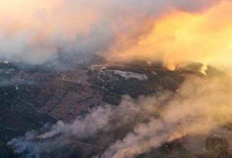 Wildfire in Israel kills 40; thousands evacuated