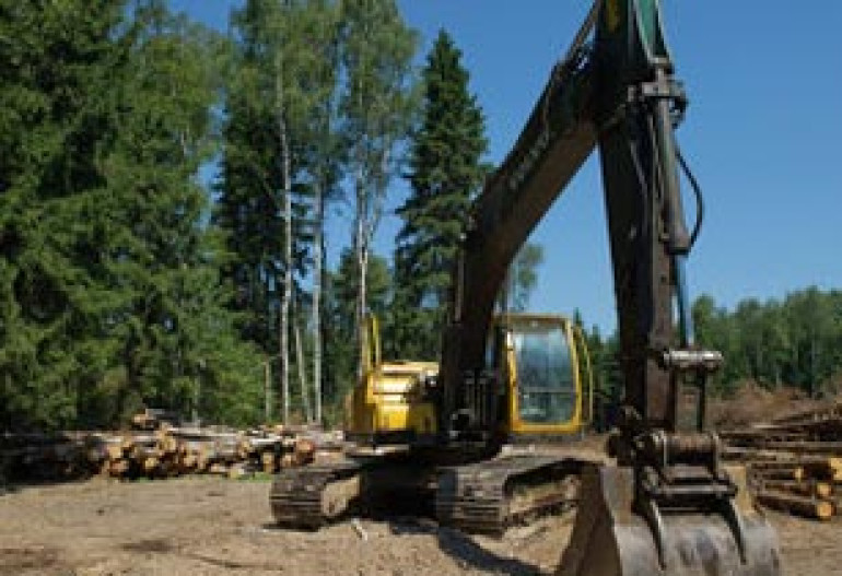Russia to build disputed motorway through Khimki forest