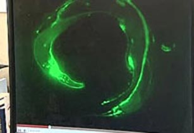 Создали искусственную нервную систему 