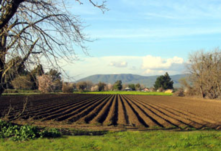 Armenian agriculture declines in 2010 – minister sums up the year