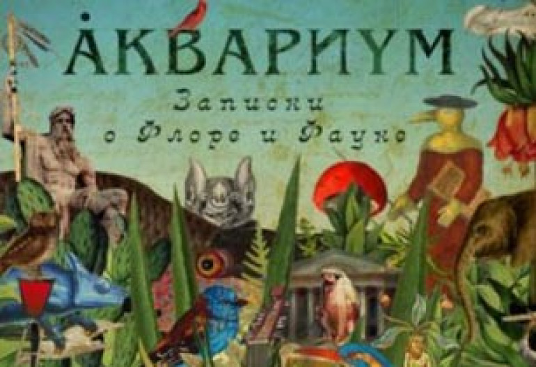 «Аквариум» выпустил двойной концертный альбом