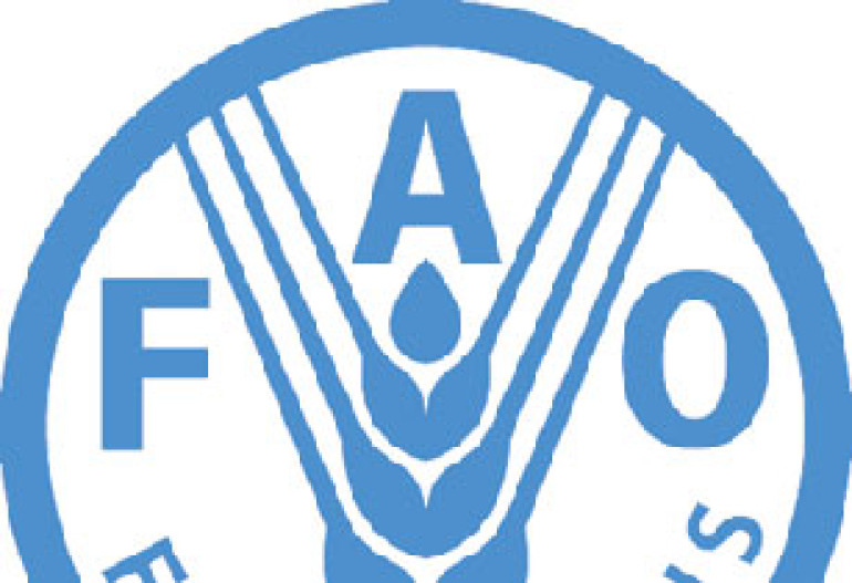 World countries in danger of facing 'food price shock'