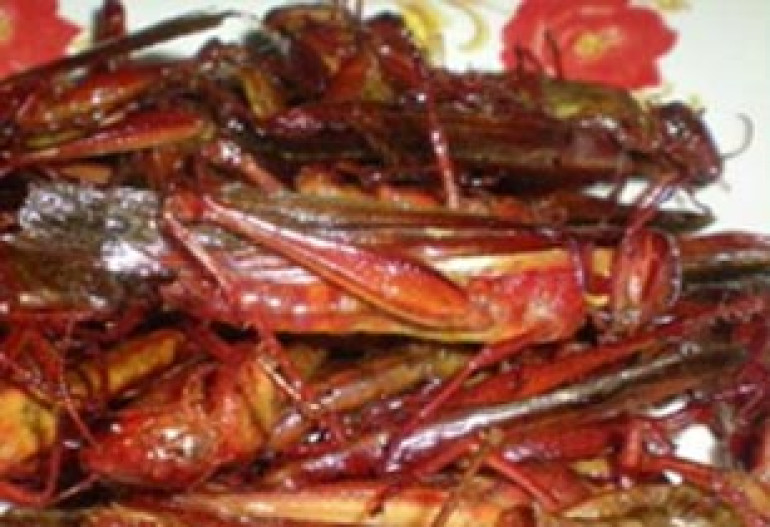Говядину заменят саранчой и жуками 