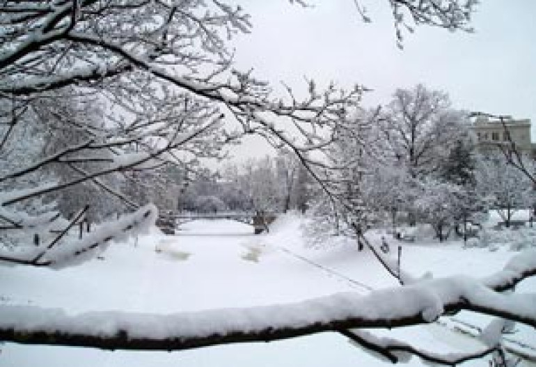 Snowstorm lowers visibility on highways