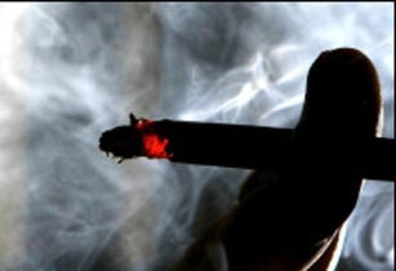 New York smoking ban extended to parks and coastlines