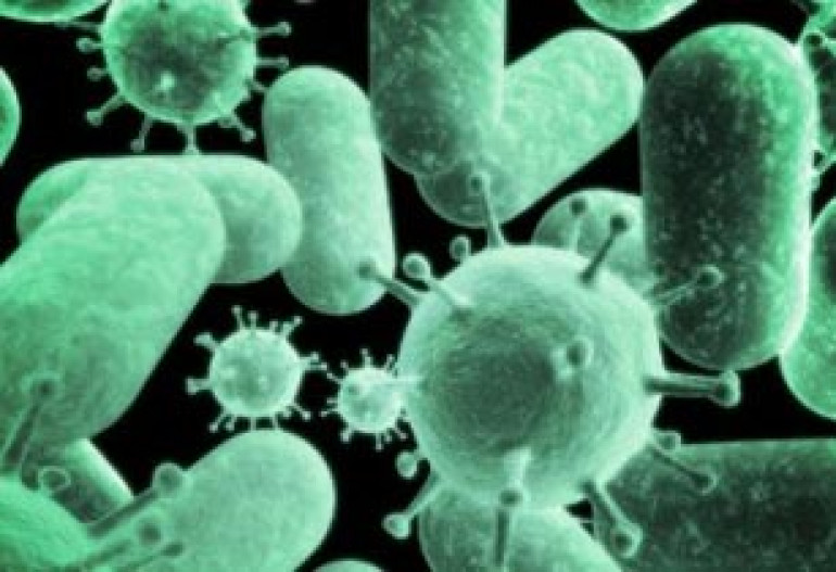 Bacteria make 90% of human bodies