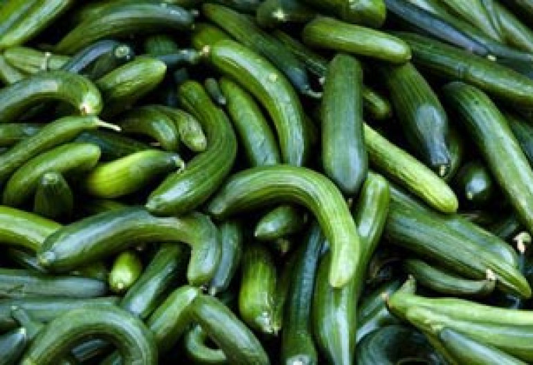 German farmers reel under E.Coli-related losses