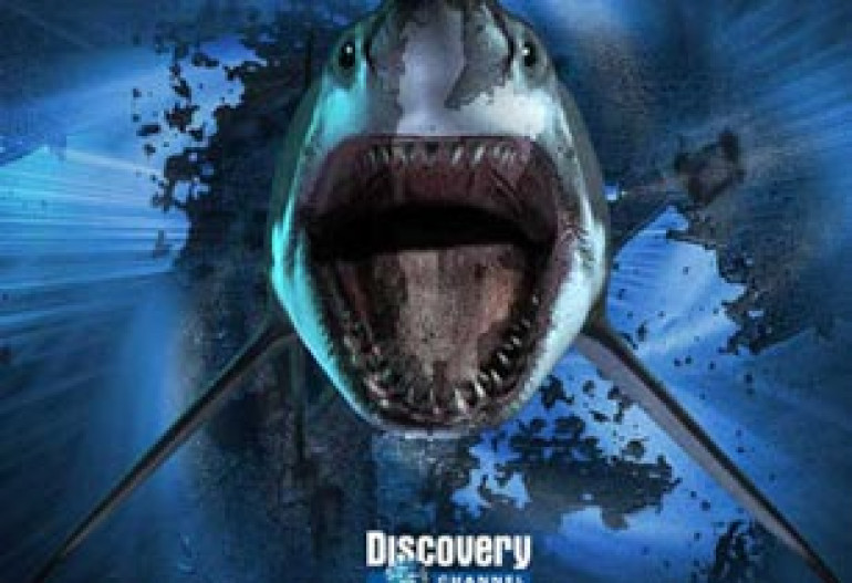 Բրիտանական TV–ներով կցուցադրվեն Discovery–ի առաջին 3D ֆիլմերը