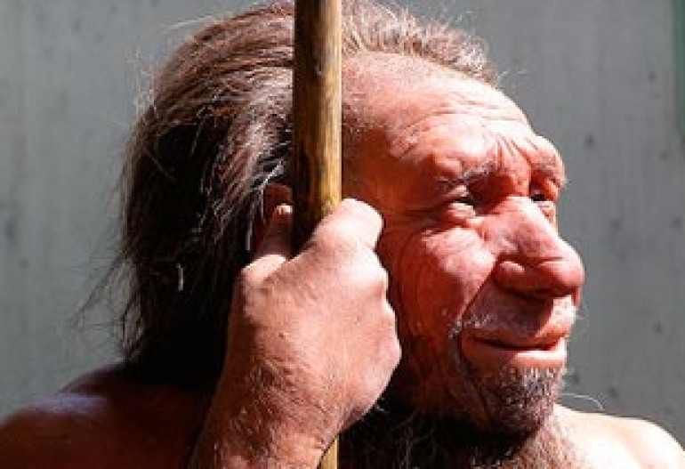 Նեանդերտալացիները վերացել են Homo sapiens-ի քանակական առավելության պատճառով