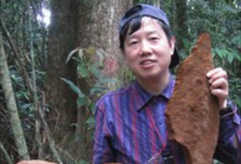 Giant fungus found in China