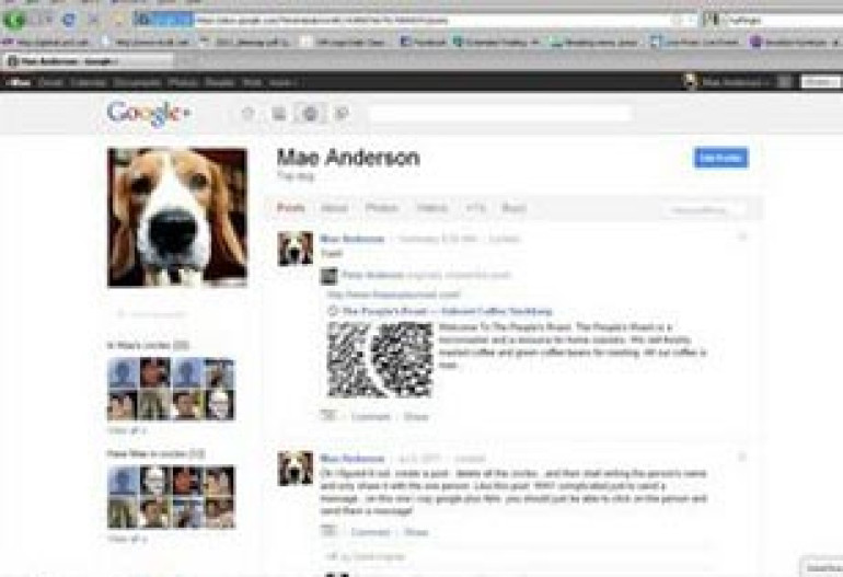 Google+ обогнала Facebook и Twitter по темпам роста аудитории